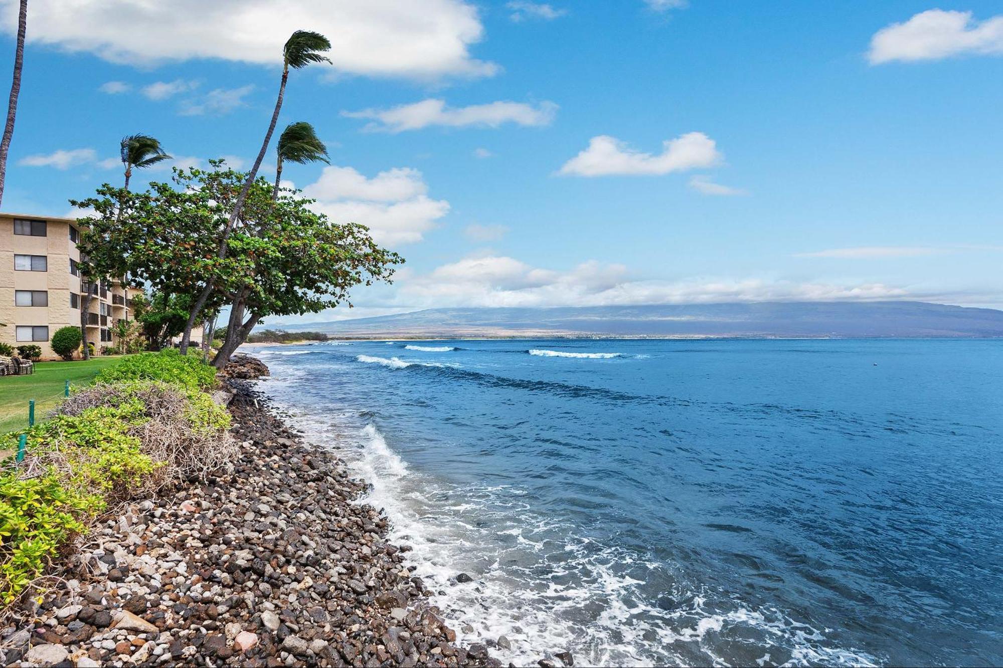 Kanai A Nalu 314 - Newly Renovated, Oceanfront, Ac Villa Wailuku Eksteriør billede